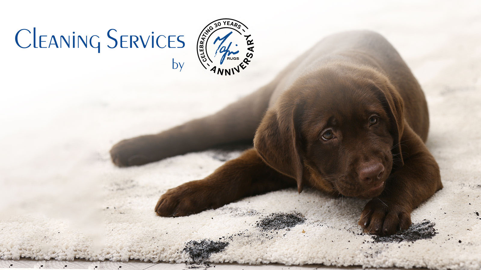 Cleaning Services by Mafi Rugs