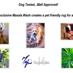 Pet Friendly Rugs with the Masala Wash