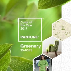 Grow into the New Year with "Greenery"