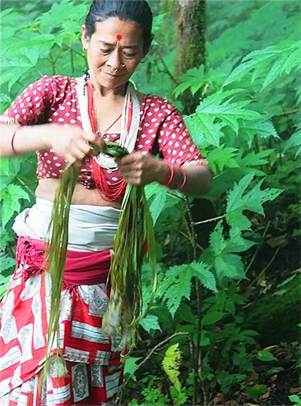 Mafi International introduces Masala Wash at SDC